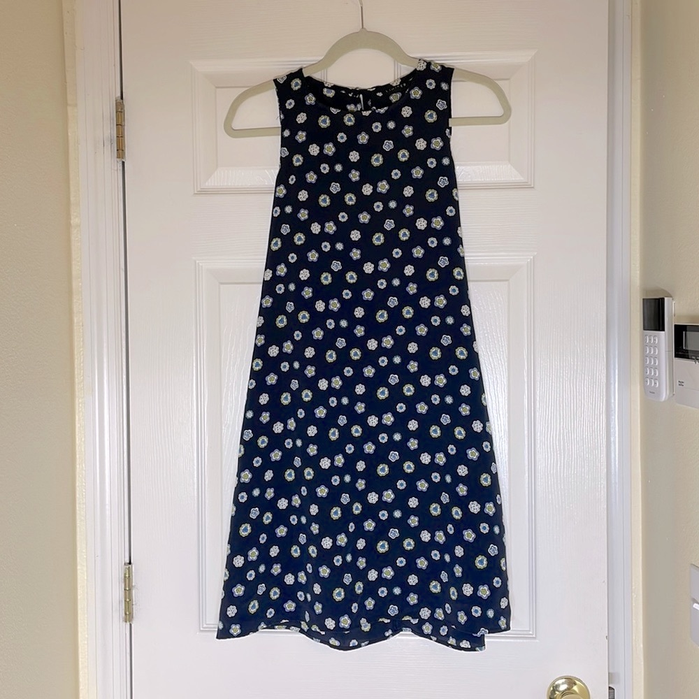 The Limited size 10 sleeveless dress